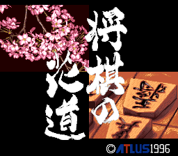 将棋之花道(日)